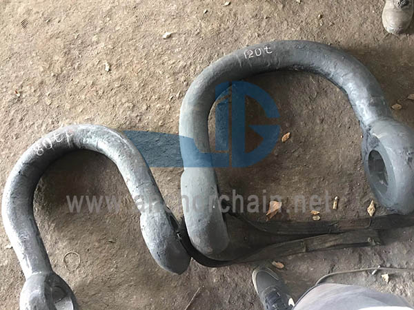 పెద్ద ఓపెనింగ్ షాకిల్